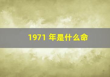 1971 年是什么命